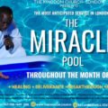 Your Season Of Miracles Is Here …… The Miracle Pool Opens Today!