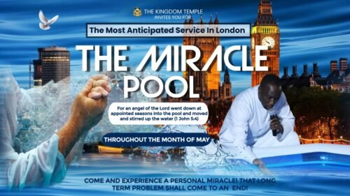 Miracle Pool 2024 05 01 At 13.56.19 E1714639271931
